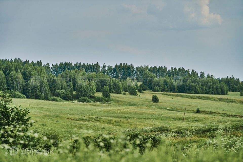 земля р-н Лаишевский Республика Татарстан Татарстан, Среднее Девятово фото 3