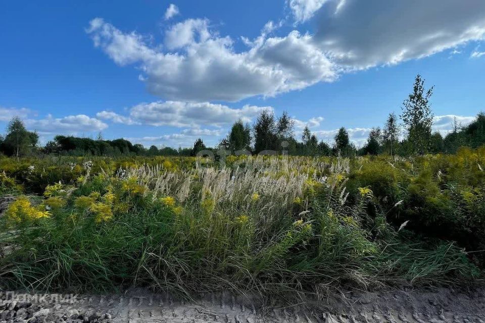 земля р-н Городецкий деревня Максимовское фото 7