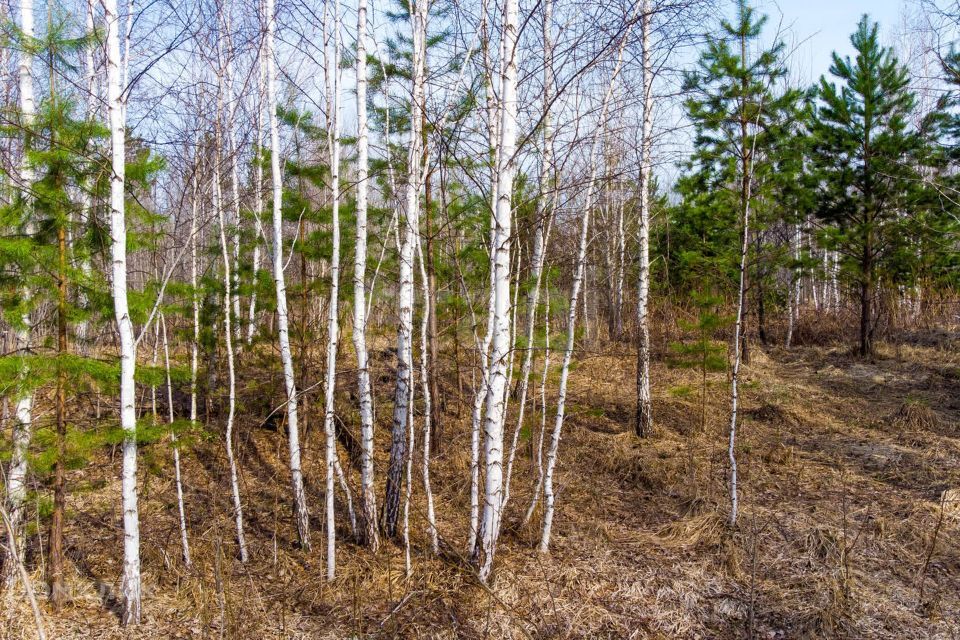 земля р-н Нижнетавдинский Советская улица фото 8