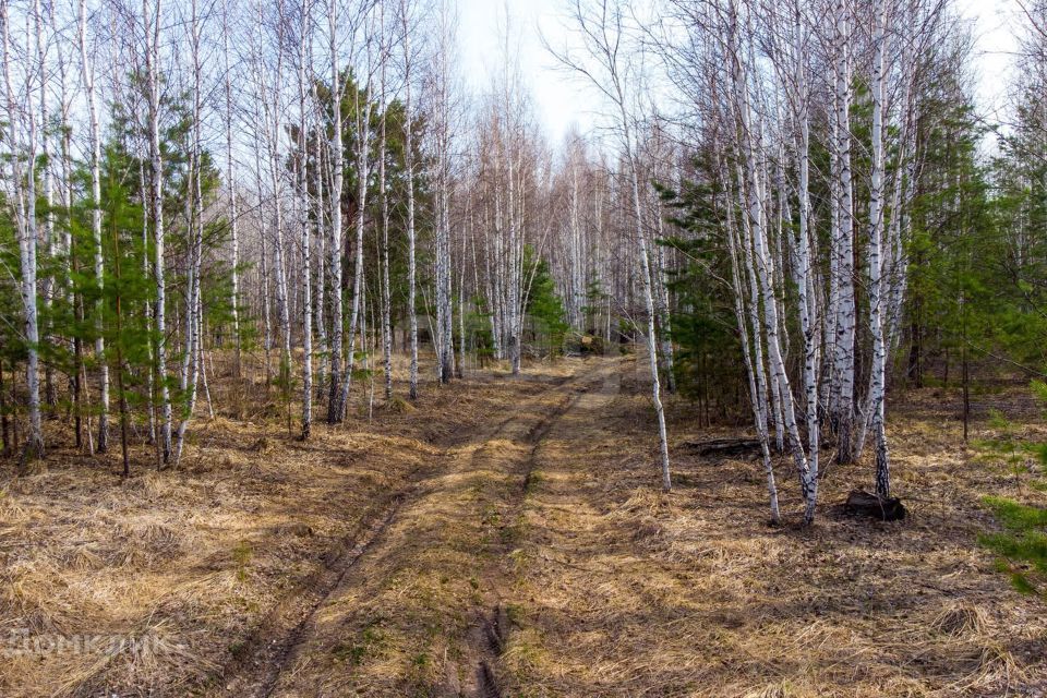 земля р-н Нижнетавдинский Советская улица фото 8