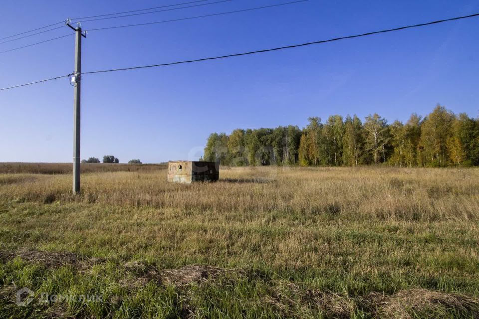 земля р-н Тюменский деревня Большие Акияры фото 8