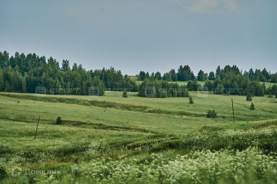 земля р-н Лаишевский Республика Татарстан Татарстан, Среднее Девятово фото 5