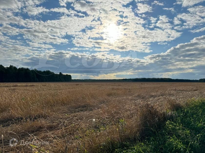 земля р-н Тюменский фото 3