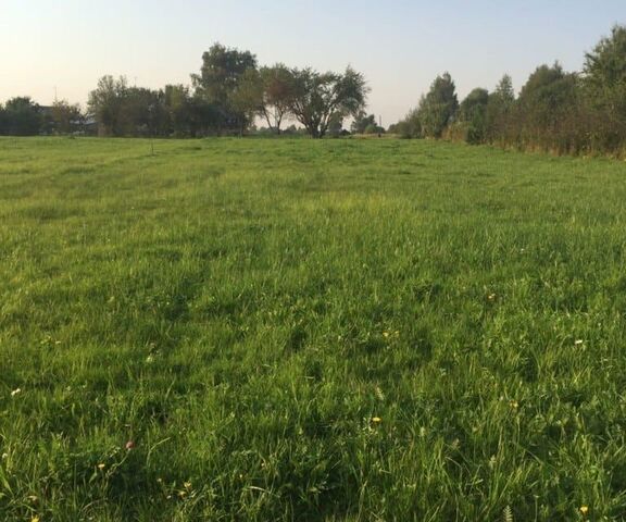 городской округ Переславль-Залесский, село Нила фото