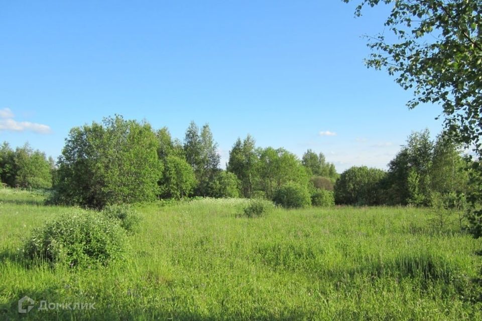 земля городской округ Переславль-Залесский, село Голопёрово фото 1