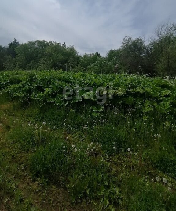 земля р-н Сыктывдинский с Выльгорт муниципальное образование Выльгорт фото 7