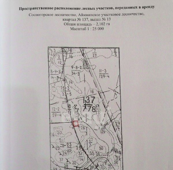 земля г Сосногорск п Керки ул Лесная муниципальное образование фото 10