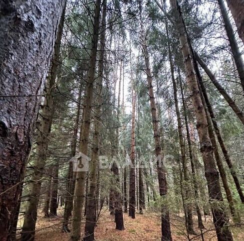 ул Гагарина Нахабино, Истра городской округ фото