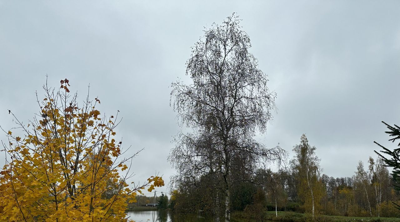 земля городской округ Солнечногорск д Радумля Зеленоград — Крюково фото 6