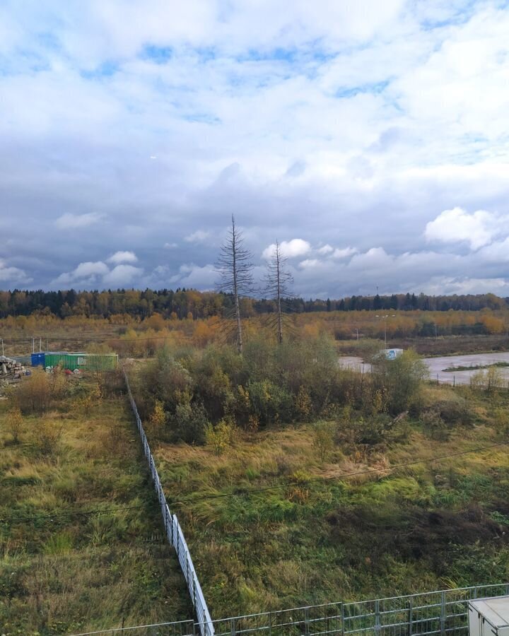 квартира городской округ Солнечногорск д Голубое ул Трехсвятская 18 Андреевка фото 15