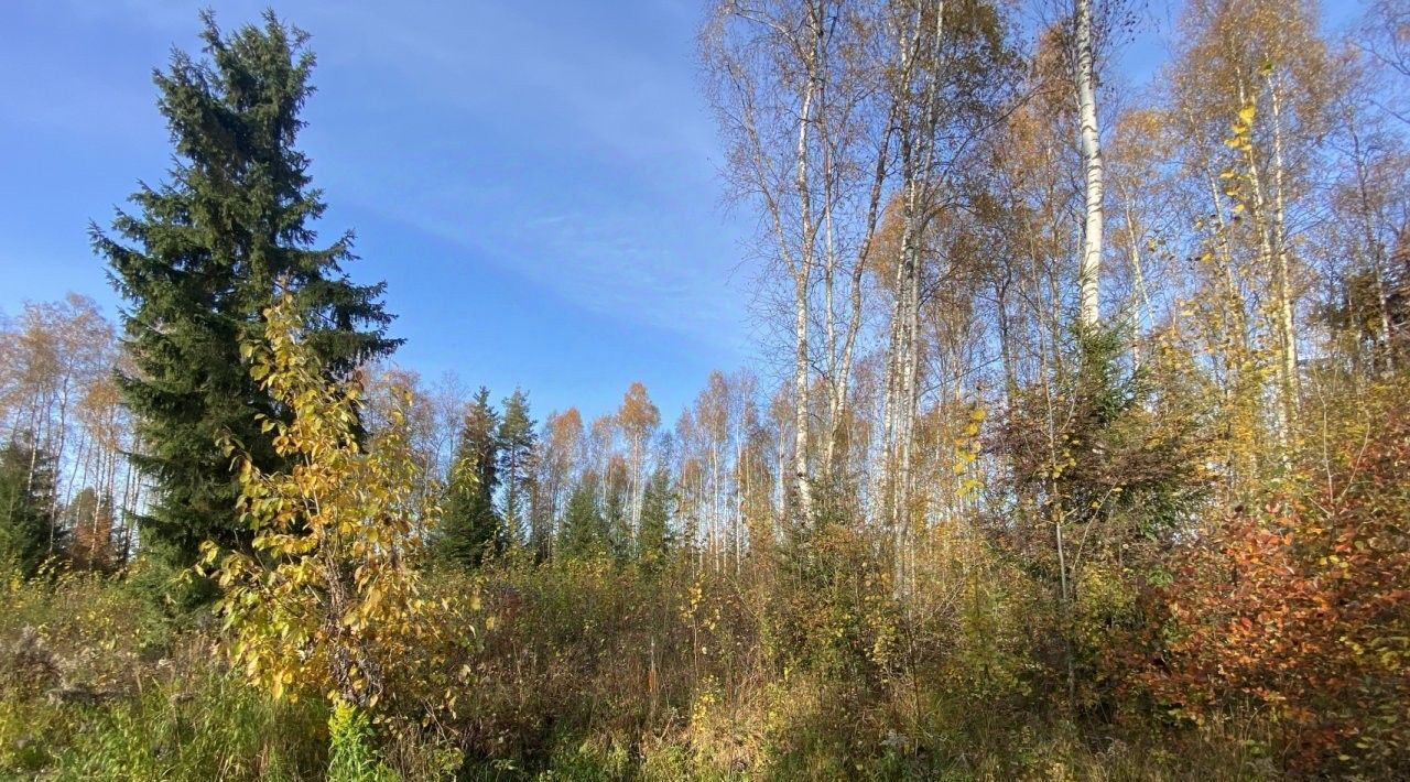 земля р-н Тихвинский снт Заречное Сертоловское городское поселение, Беговая, ул. Парижская, Всеволожский район фото 3