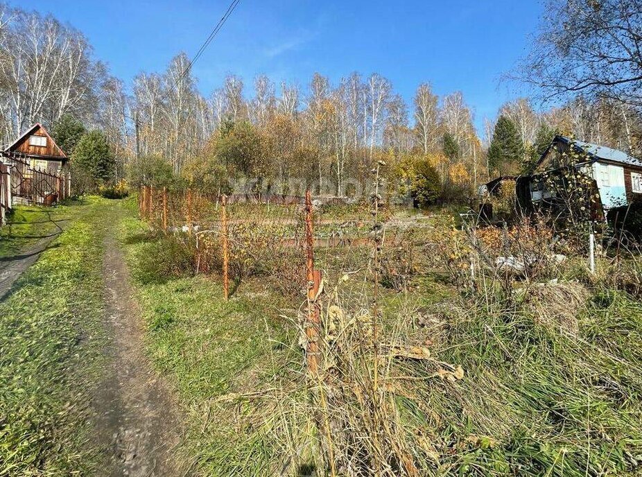 дом р-н Новосибирский снт Дубрава Новолуговской сельсовет, Речной Вокзал фото 3