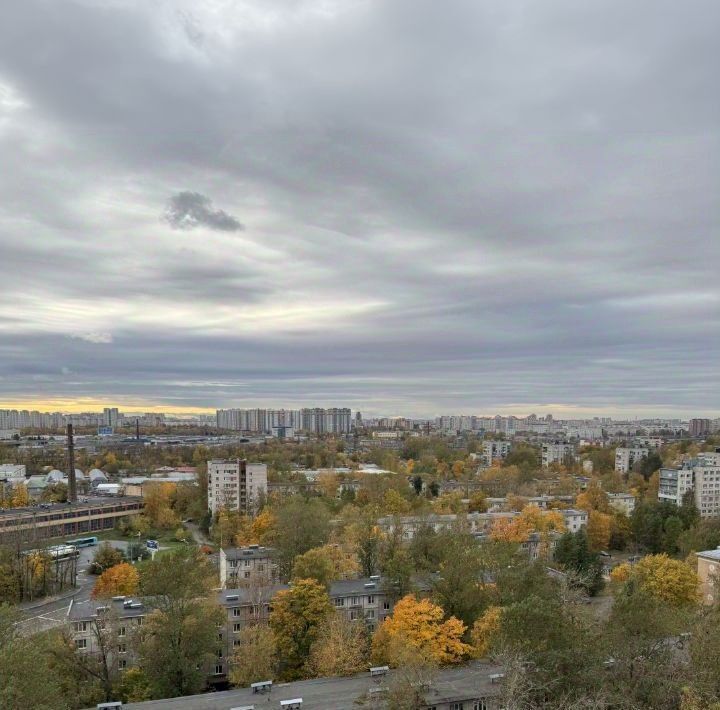 квартира г Санкт-Петербург метро Пролетарская пр-кт Александровской Фермы 8 фото 21