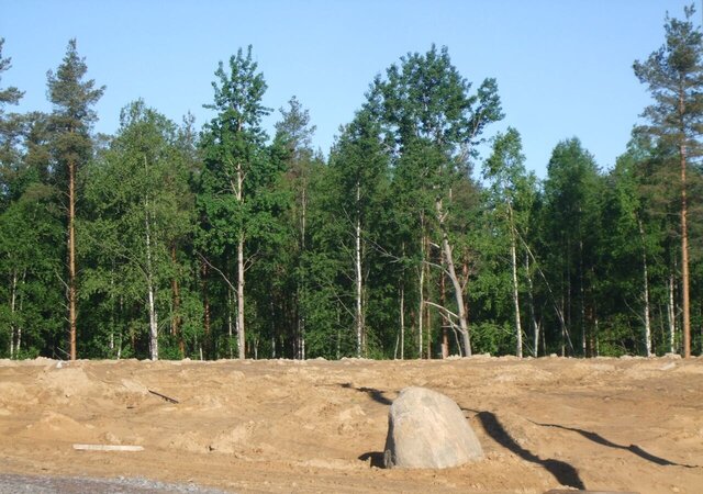 9744 км, Всеволожский р-н, Токсовское городское поселение, СНТ Новое Токсово, Токсово, Ленинградское шоссе фото