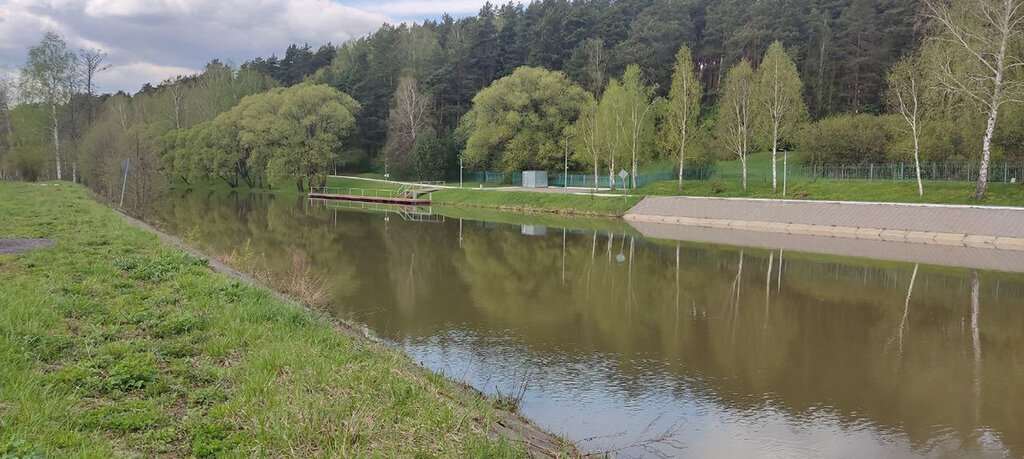 земля городской округ Домодедово д Ильинское коттеджный посёлок Фаворит фото 8