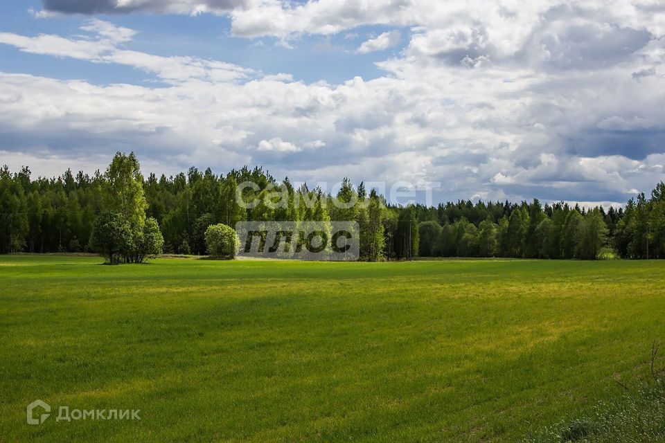 земля городской округ Домодедово с Успенское Коттеджный посёлок Барыбино, Москва фото 2