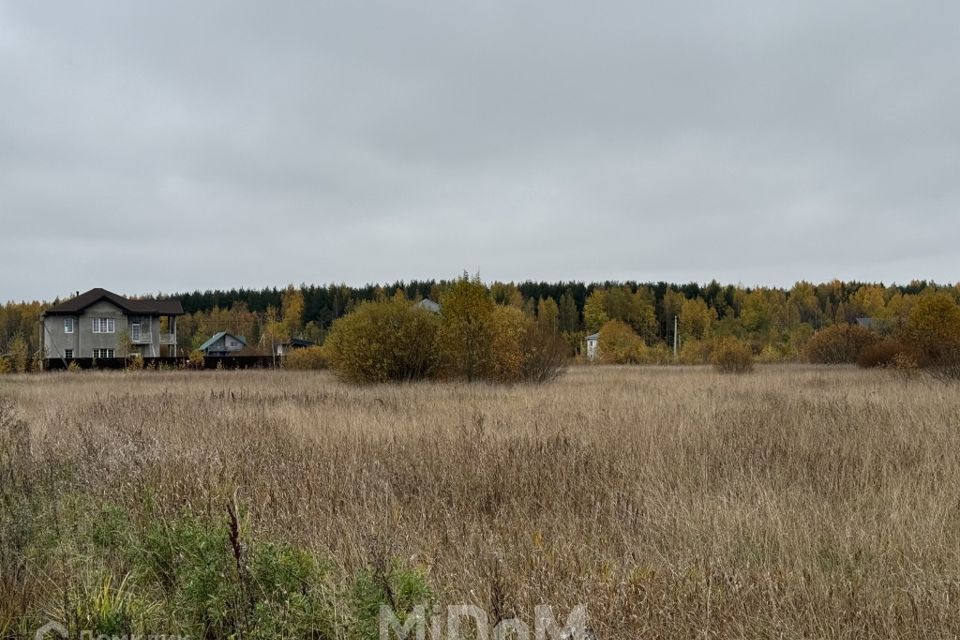 земля р-н Всеволожский Росток-Соржа фото 7