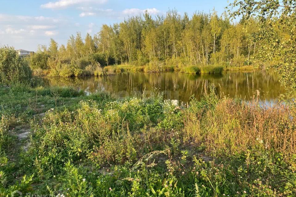 земля городской округ Сергиево-Посадский СНТ Деулино фото 6