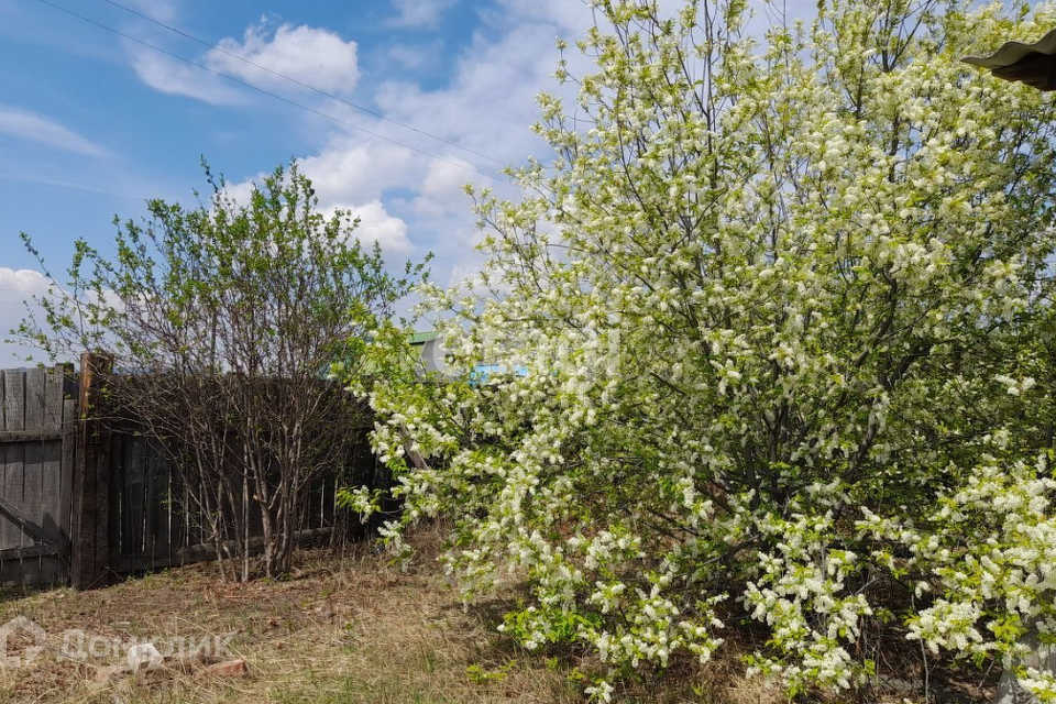 земля г Чита р-н Черновский городской округ Чита, ТСН Учитель фото 4