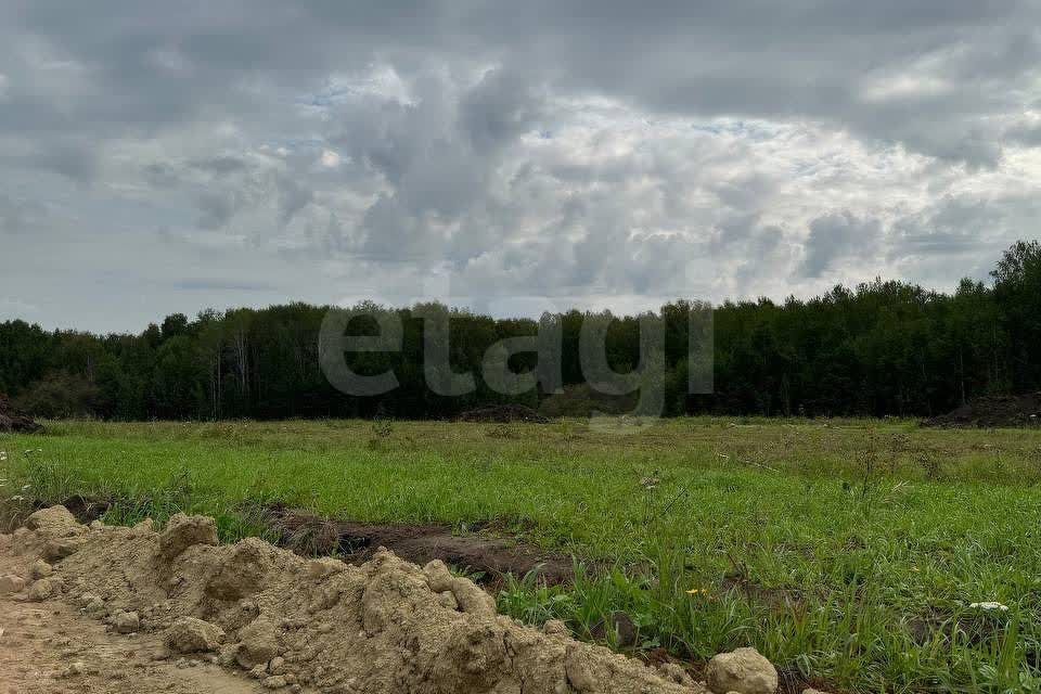 земля р-н Тюменский село Кулига фото 2