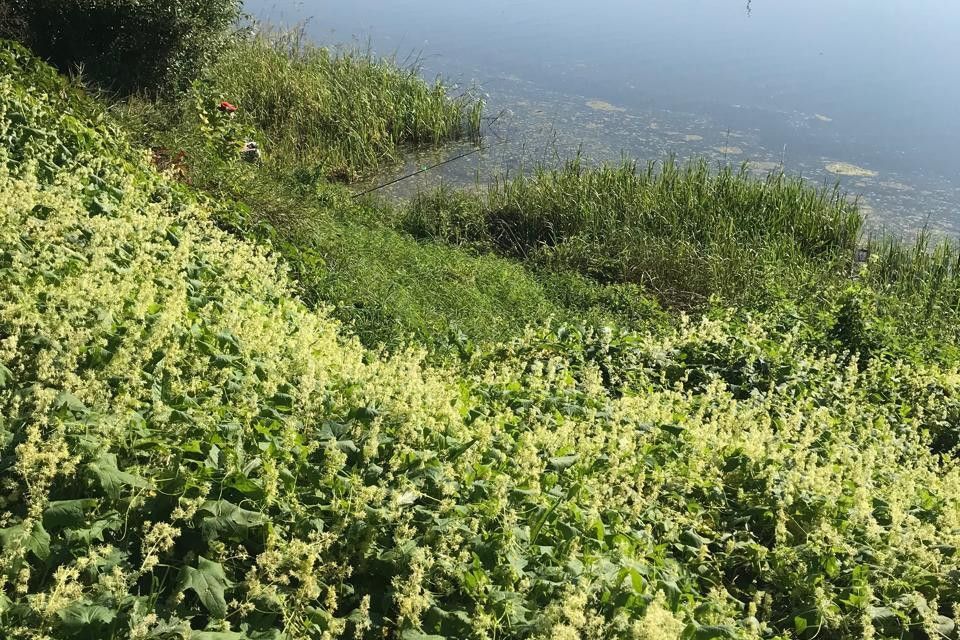 дом г Тверь р-н Заволжский ул Твериводицкая 2 городской округ Тверь фото 3