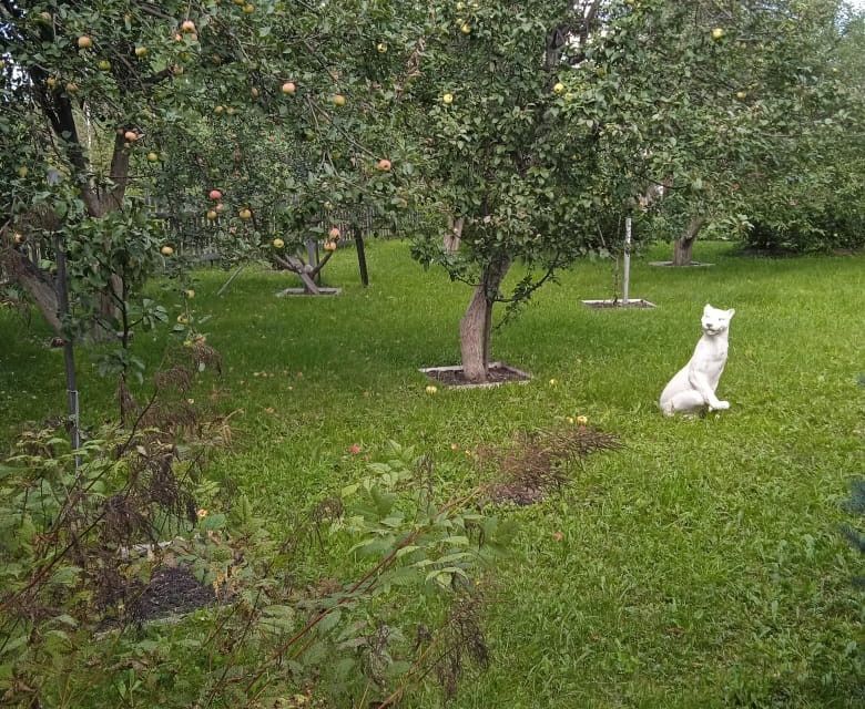 дом р-н Каслинский посёлок Воздвиженка фото 5