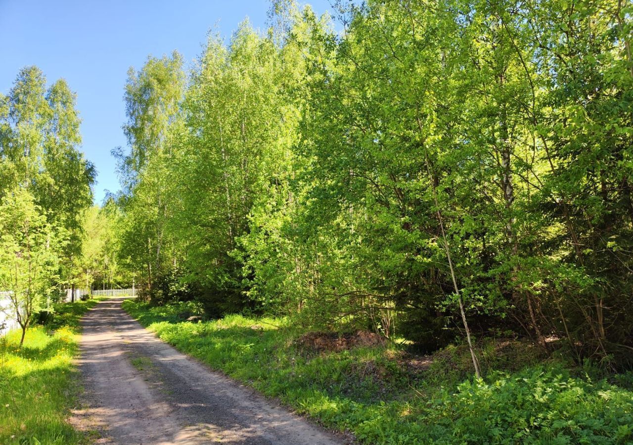 земля направление Ярославское (северо-восток) ш Ярославское 9816 км, муниципальное образование Краснопламенское, СНТ Горки, Владимирская обл., Александровский р-н, Богородское фото 8