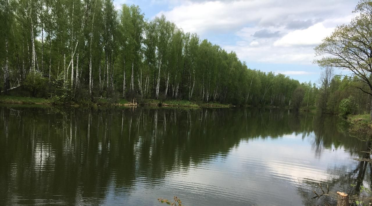 земля р-н Бабынинский д Альшаны Село Бабынино с/пос фото 18