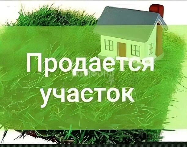 ст-ца Зассовская ул 50 лет Октября 85 Мостовской, Зассовское сельское поселение фото