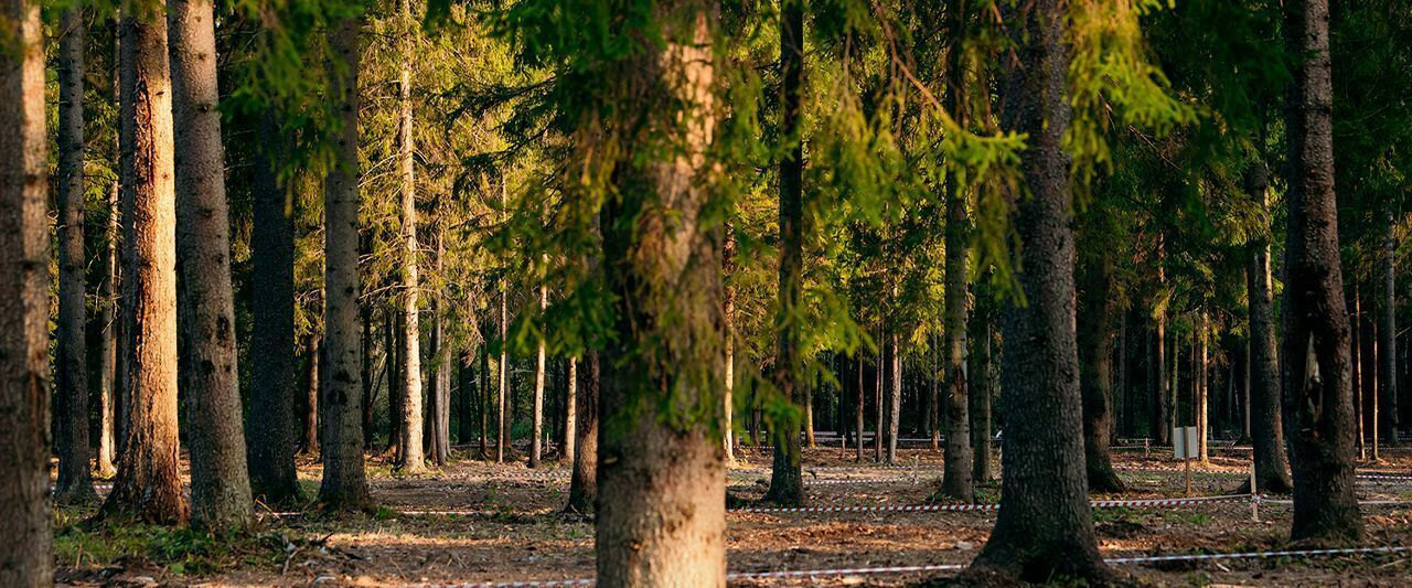 земля городской округ Дмитровский д Матвейково фото 15