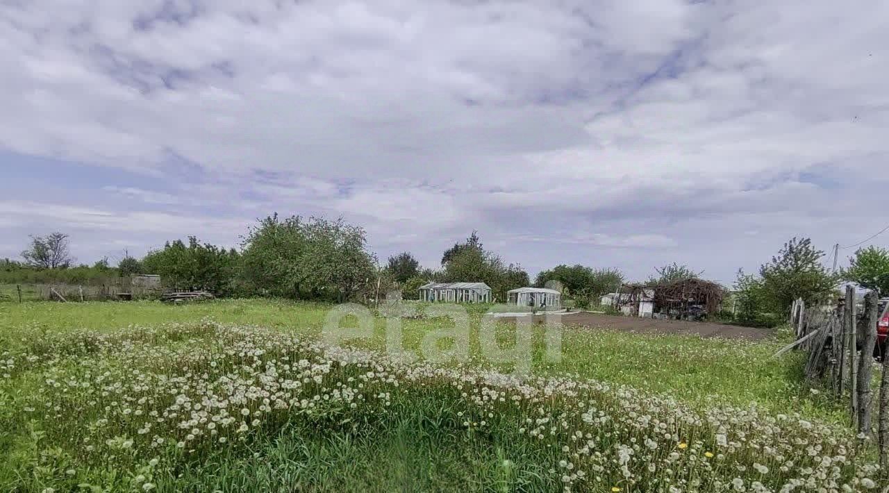 земля г Брянск р-н Бежицкий Надежда, садоводческое товарищество фото 6