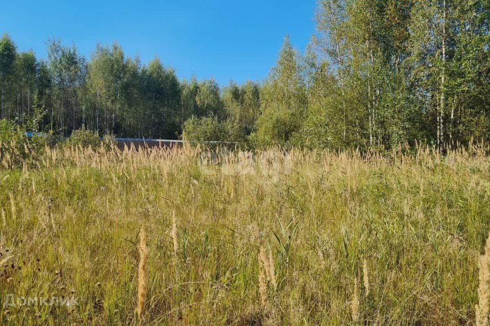 земля г Ярославль р-н Фрунзенский городской округ Ярославль, Фрунзенский район фото 1