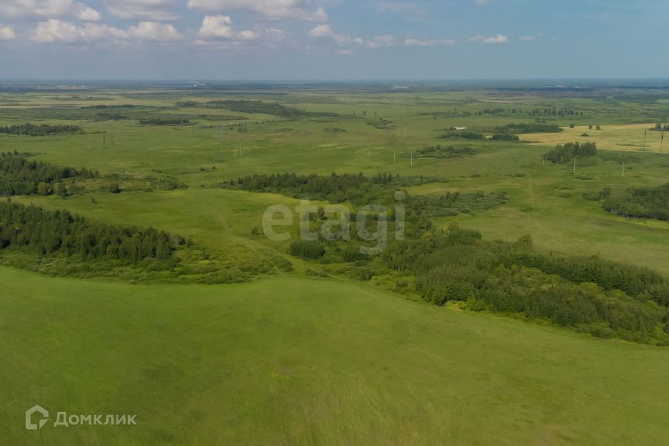 земля р-н Тюменский село Яр фото 4