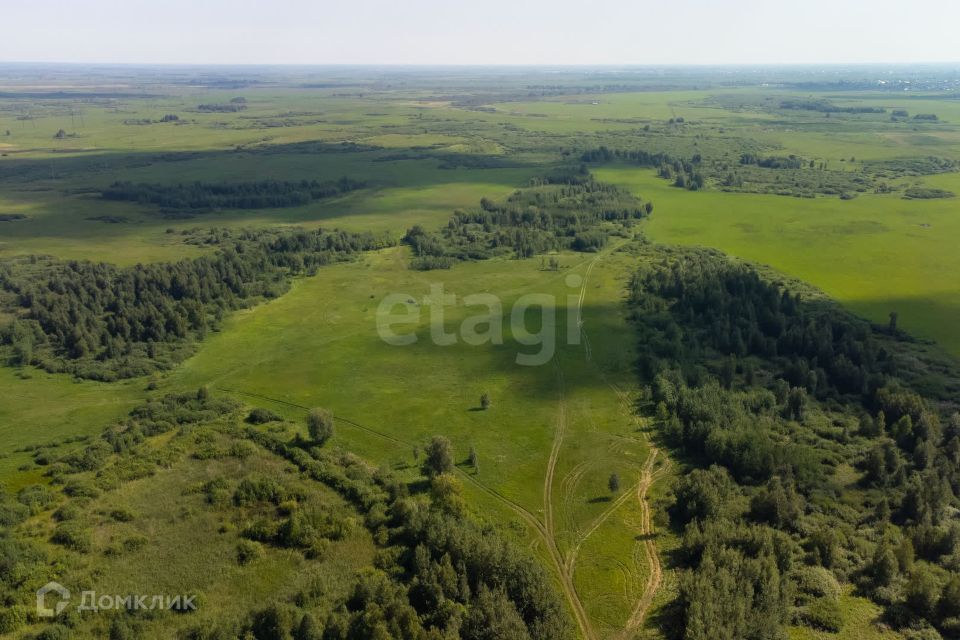 земля р-н Тюменский село Яр фото 3