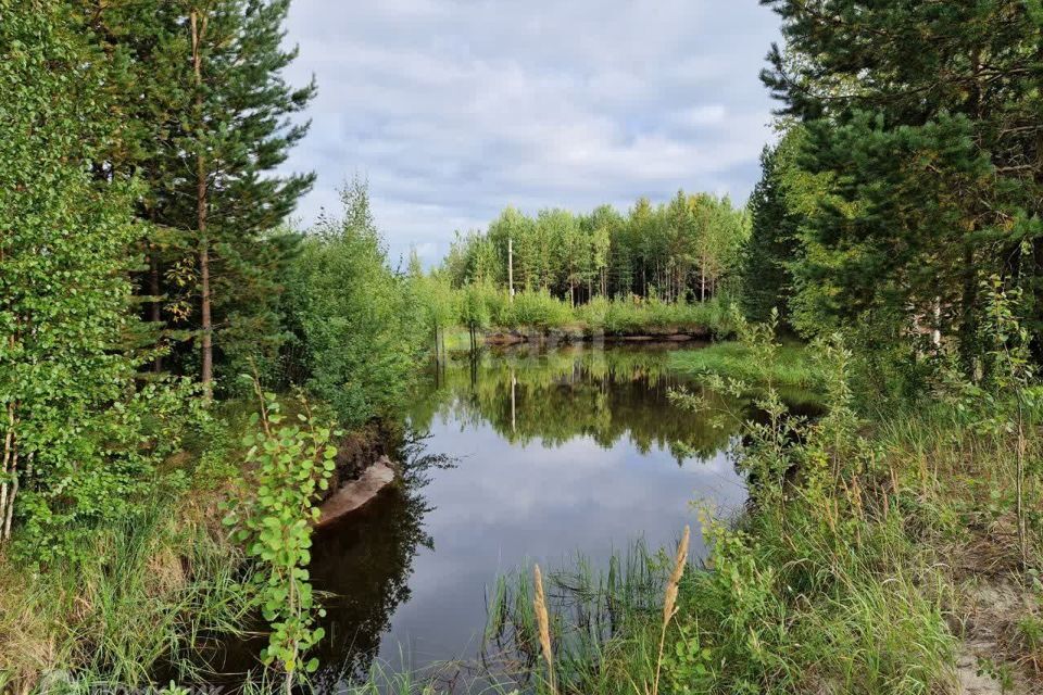 земля Сургут городской округ, СТ Полимер, 5-я линия фото 6