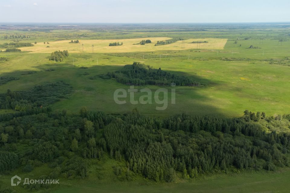 земля р-н Тюменский село Яр фото 9