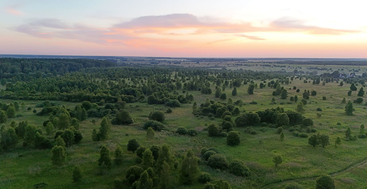 земля городской округ Ступино п Малино 9787 км, г. о. Ступино, Новокаширское шоссе фото 19