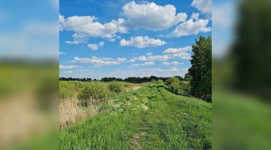 земля р-н Тюменский д Зубарева ул Центральная фото 3