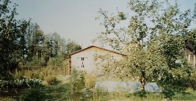 сад снт Чуевский СНТ, 37 фото