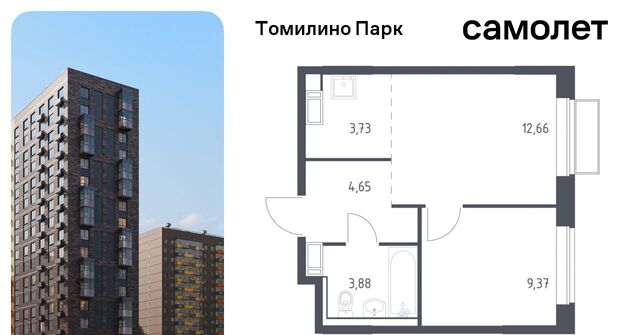 Томилино фото