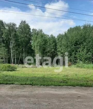 земля р-н Березовский с Зыково снт Зыковский сельсовет, ДНТ Роза Ветров, Сосновая ул фото 7