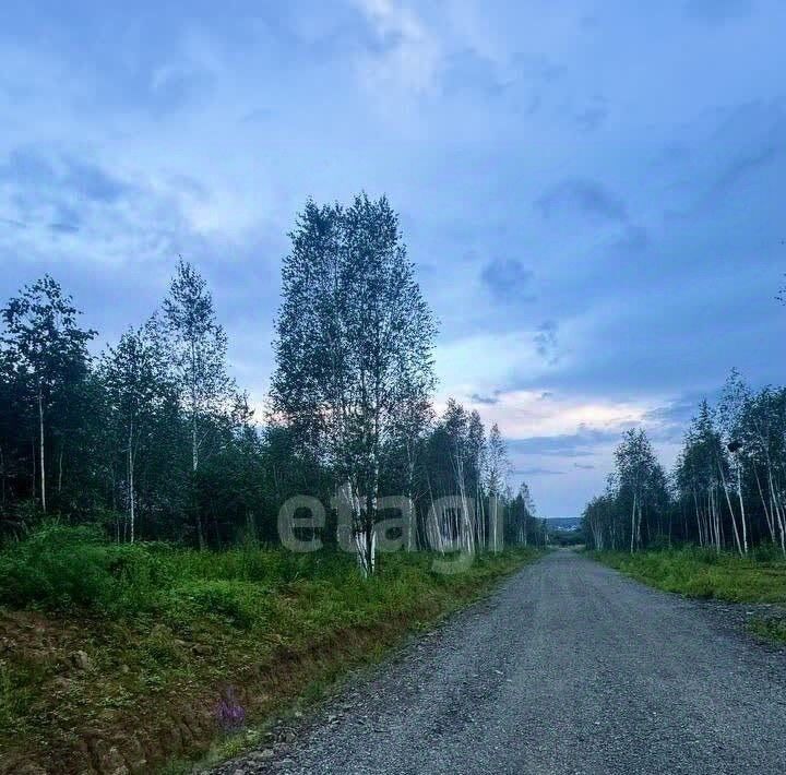 земля р-н Хабаровский с Некрасовка ул Оранжевая фото 7