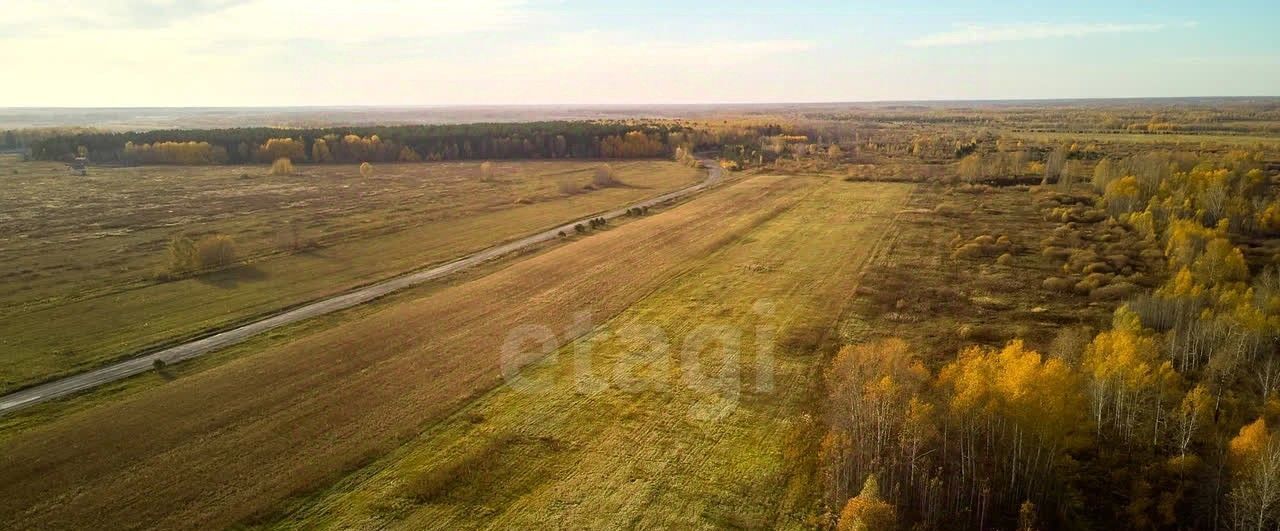 земля р-н Тюменский с Салаирка фото 6