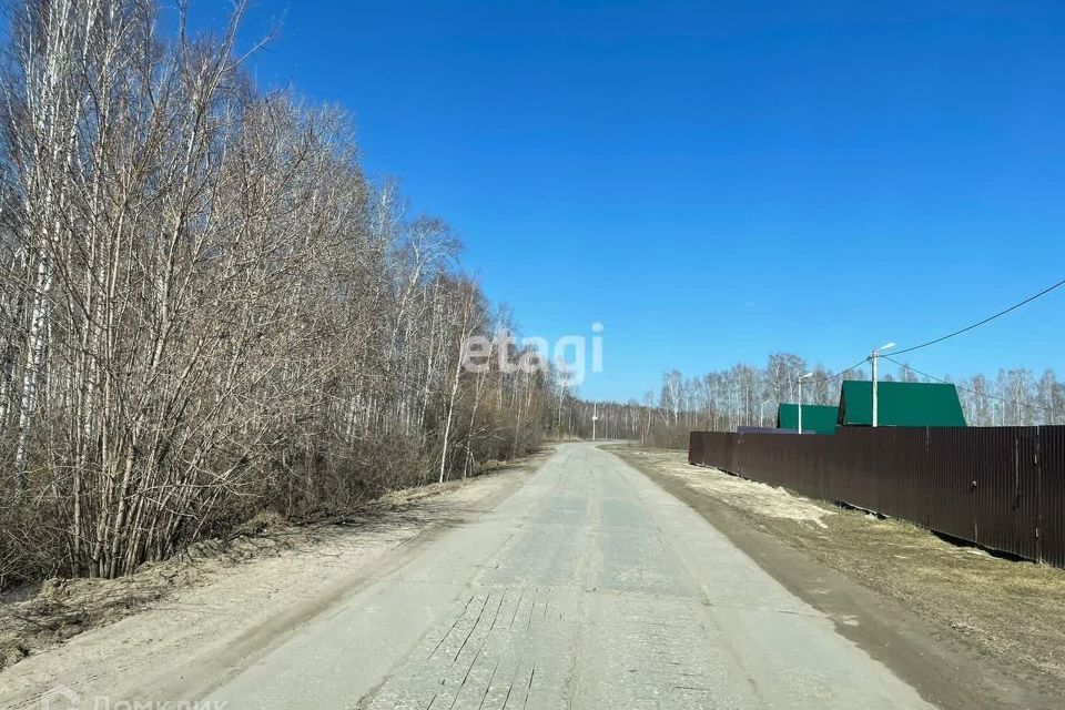 земля р-н Нижнетавдинский снт Сундукульский разрез фото 4