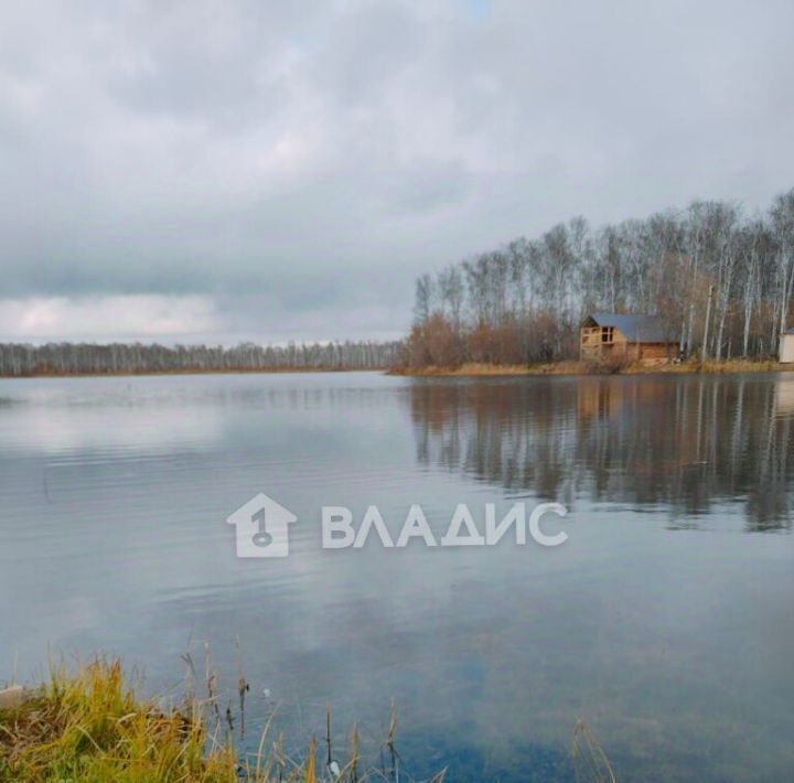 дом р-н Новосибирский п Воробьевский сельсовет, Кудряшовский, пер. 1-й Урожайный фото 14