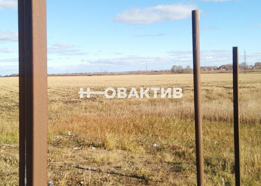 земля р-н Ордынский с Новопичугово Школьная фото 8