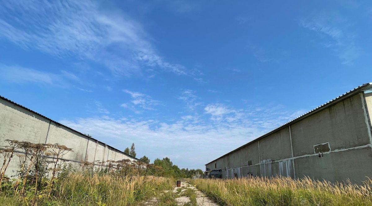 производственные, складские городской округ Солнечногорск д Никулино фото 15