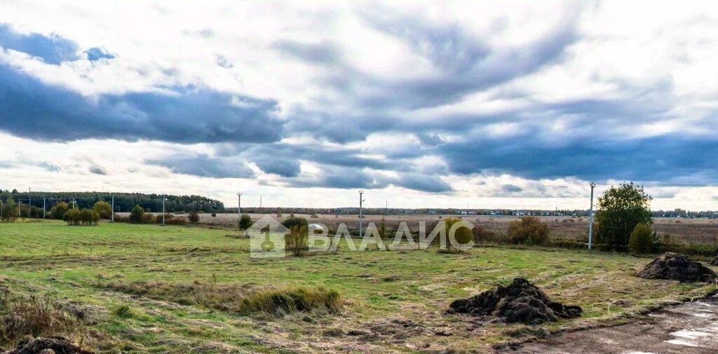 земля р-н Кировский г Отрадное пос. Петрушино, ул. Полевая фото 28