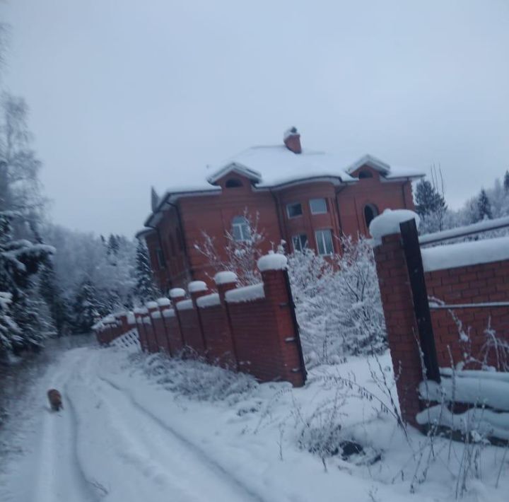 земля городской округ Истра д Сысоево фото 2