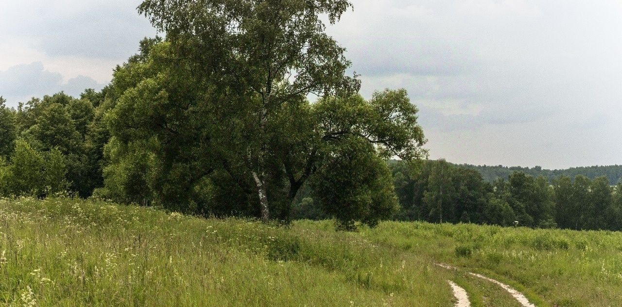 земля р-н Малоярославецкий с Маклино ул Солнечная фото 3